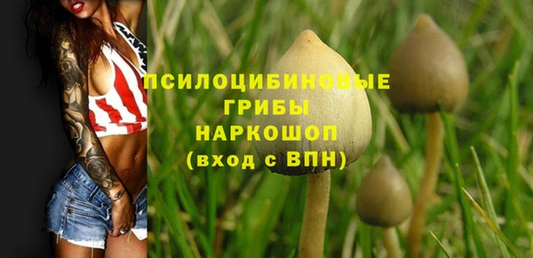 прущий лед Гусь-Хрустальный