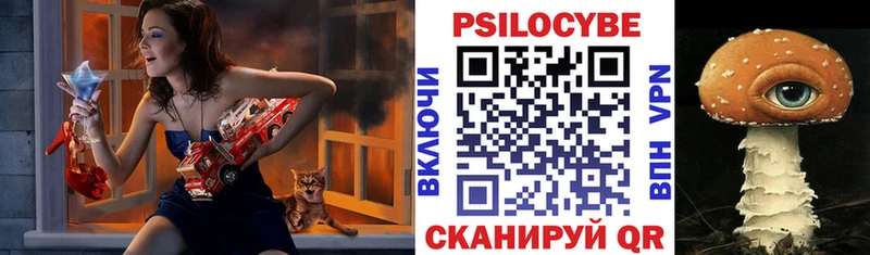 Галлюциногенные грибы прущие грибы Краснознаменск