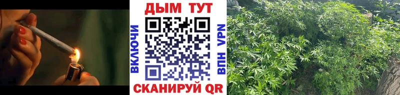 Бошки марихуана гибрид hydra зеркало Краснознаменск наркота